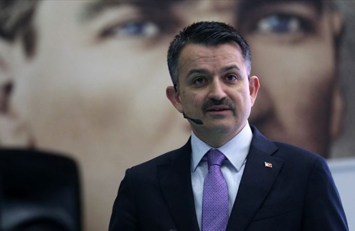 Tarım ve Orman Bakanı Pakdemirli: Çiftçi destek ödemelerine bugün başlıyoruz
