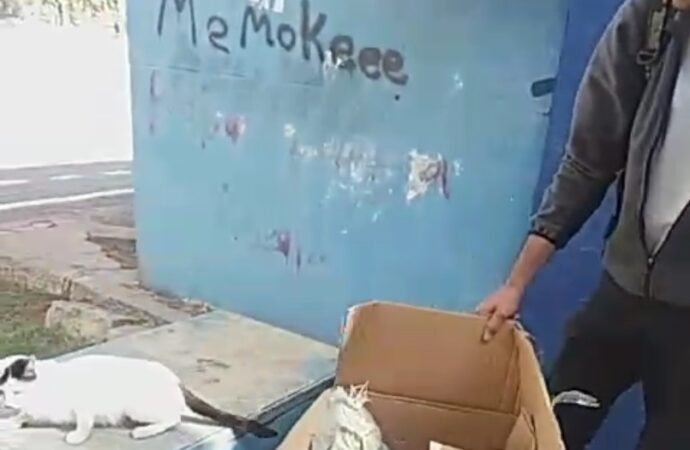 Bir kişi, poşete koyduğu kedileri parka bıraktı ve bu eylemi çevredeki insanlardan tepki aldı.