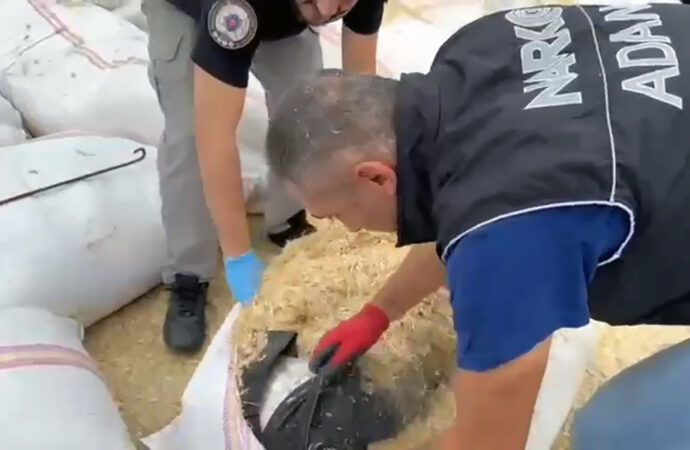Saman çuvallarından toplamda 66 kilogram esrar ele geçirildi.