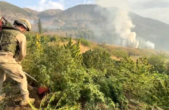 Narkotik güç operasyonları kapsamında, 4 farklı ilde gerçekleştirilen operasyonlarda toplamda 13 kişi gözaltına alındı.