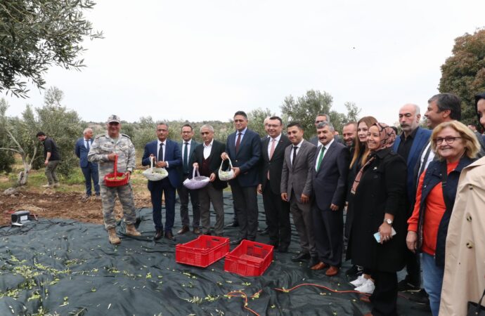 Aliağa’da ikinci Zeytin Hasat Şenliği başladı.