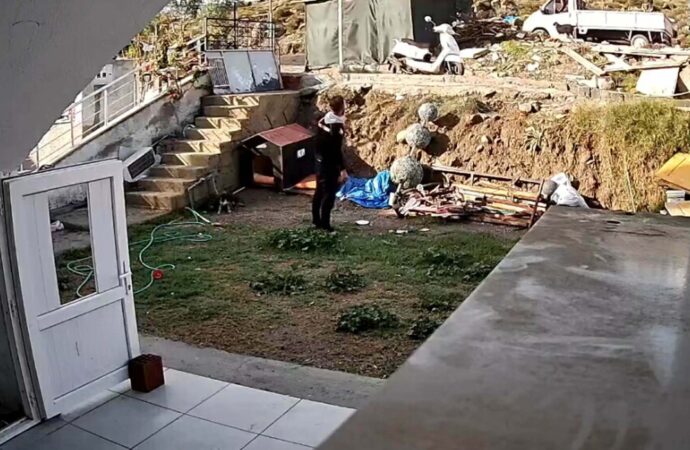 Bir kamyonet sürücüsü, aracını durdurarak peşinden gelen bir köpeği cisimle vurduktan sonra hızla kaçtı.