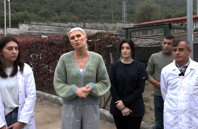 Bilecik’te 14 köpeğin ölü bulunması olayıyla ilgili olarak 4 kişi gözaltına alındı. (3)