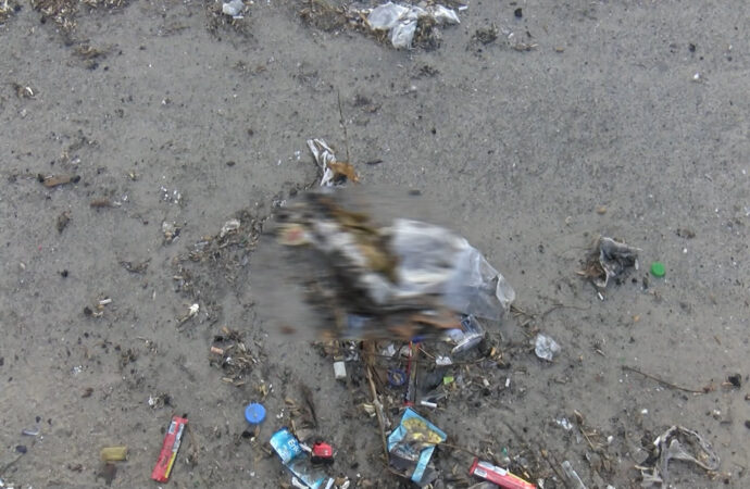 Bakırköy’de, dalgalara kapılan birçok yavru kedi hayatını kaybetti.