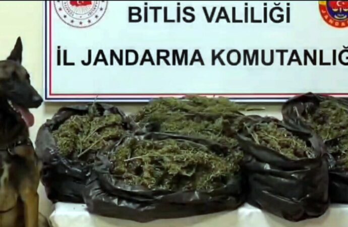 Bitlis’te 10 kilo 200 gram ağırlığında skunk maddesi ele geçirildi.