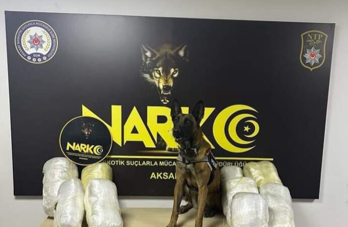 Salatalık kasalarında saklanmış olan uyuşturucu, Bixi adlı köpek tarafından bulundu.