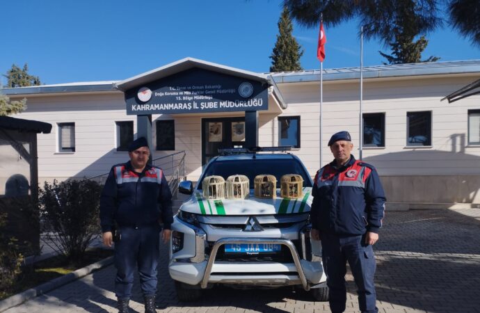 Konteyner kentte keklik beslemek için 26 bin lira ceza kesildi.