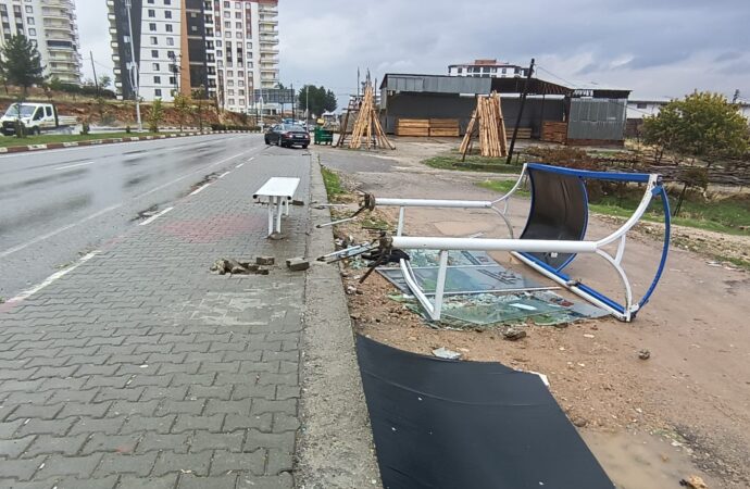 Siirt’te meydana gelen şiddetli fırtına sonucunda, otobüs durağı ve birçok ağaç devrildi.