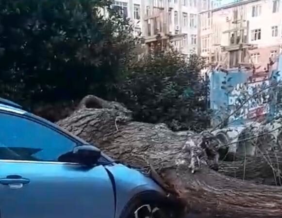 Güngören ilçesinde bir ağaç, otomobilin üzerine devrildi.