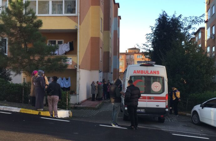 Bir çift arasında yaşanan tartışma sonucunda kadın hayatını kaybetti ve erkek tarafından ağır yaralanan oğlu kurtarılmaya çalışıldı.