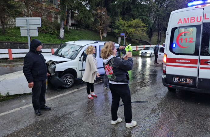 Bir sürücü, kalp krizi geçirerek kaza yapması sonucunda hayatını kaybetti.