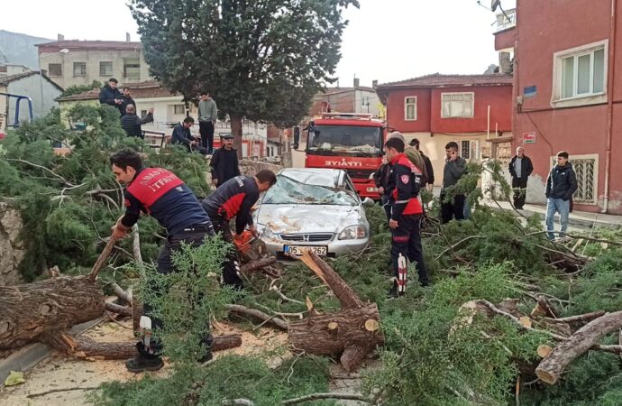 Amasya’da şiddetli rüzgarın etkisiyle ağaç, otomobilin üzerine devrilerek hasara neden oldu.