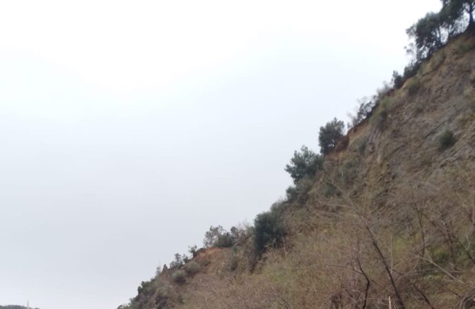Ereğli-Alaplı yolu üzerinde meydana gelen bir heyelan olayı, bölgede büyük bir endişeye neden oldu. Yolun çökmesi sonucu ulaşım tamamen durma noktasına geldi ve sürücüler zor anlar yaşadı. Yetkililer, olay yerine hemen müdahale ederek yolun trafiğe kapanmasını sağladılar. Şu anda çalışmalar devam etmekte olup, yolun ne zaman tekrar kullanıma açılacağı konusunda henüz bir bilgi verilmedi. Bölge halkı ise bu durumdan oldukça rahatsızlık duyuyor ve yetkililerden acil çözüm talep ediyor. Heyelanın neden kaynaklandığı henüz belirlenemedi ancak uzmanlar, yoğun yağışların etkili olduğunu düşünüyor. Bu tür olayların tekrarlanmaması için önlemlerin alınması gerektiği vurgulanıyor.