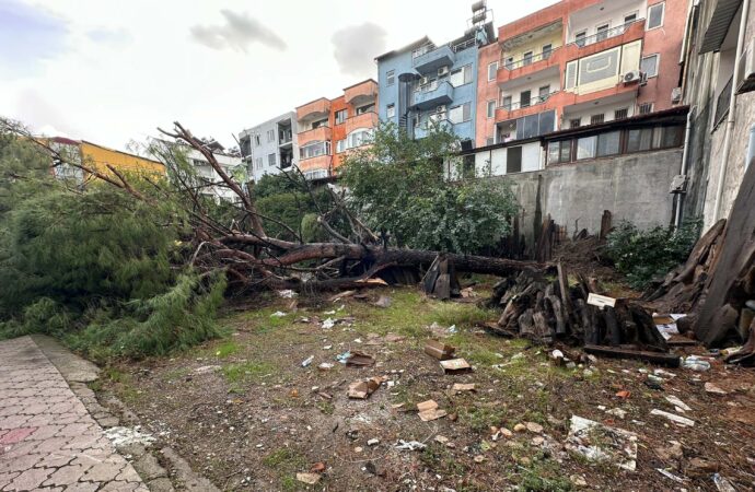 Muğla ilinde meydana gelen hortum, çatıları uçurarak büyük hasara neden oldu. Ayrıca, ağaçları ve direkleri devirerek etrafı darmadağın etti. Bu olayın anbean kaydedildiği görüntüler ise şimdi kameralarda.