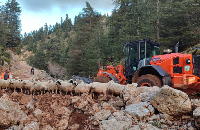 Yaylada mahsur kalan 11 çoban ve küçükbaş sürüsü kurtarıldı.
