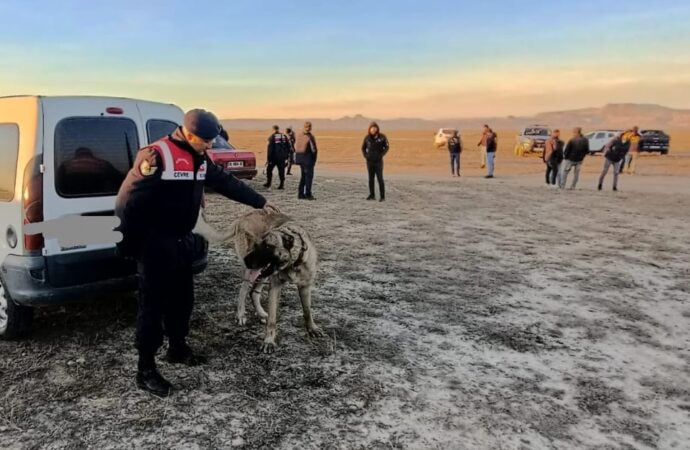 Kayseri’de bahis oynayarak köpek dövüştüren 37 kişiye, toplamda 150 bin TL ceza kesildi.