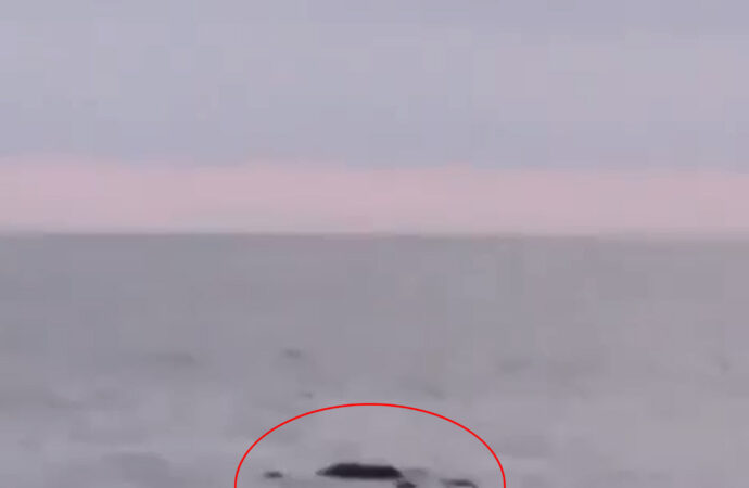 Kayboluşunun üzerinden tam 4 gün geçen Damla’nın cansız bedeni, denizde bulundu.