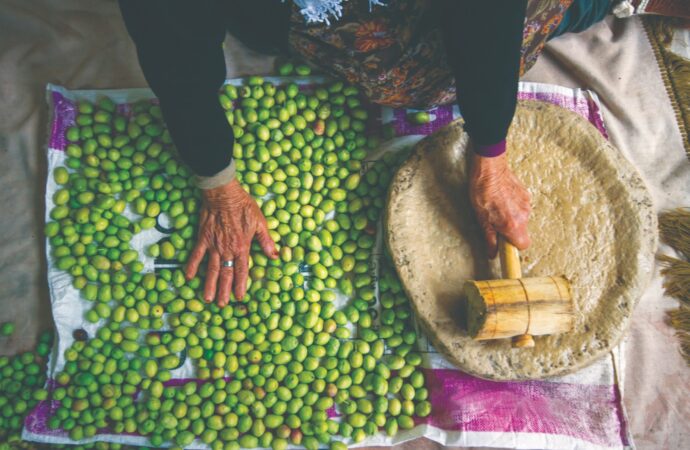 Türkiye’nin geleneksel zeytin yetiştiriciliği, UNESCO tarafından koruma altına alındı.