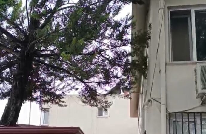 Bursa’da yer alan bir depoya girerek 400 litre zeytinyağı çalan şüpheliler, polis tarafından yakalanarak tutuklandı.