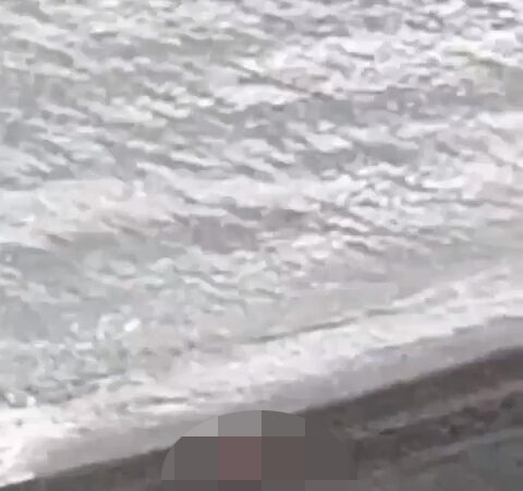 Plajda cinsel ilişki görüntülerine yönelik bir inceleme yapılacak.