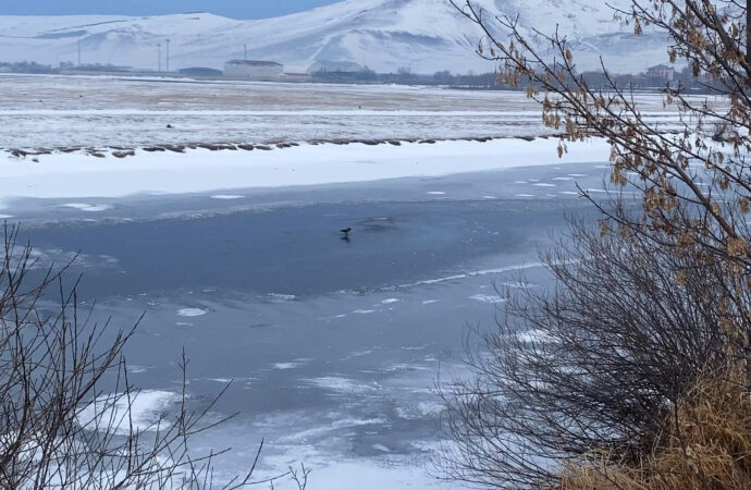 Ardahan ilinde bulunan Kura Nehri’nin yüzeyi donarak buz tuttu.