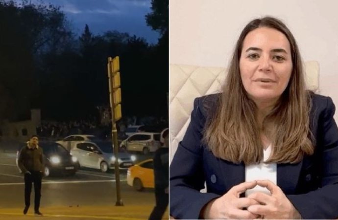 İYİ Partili Ayyüce Türkeş’e babasının mezarında saldırı girişimi