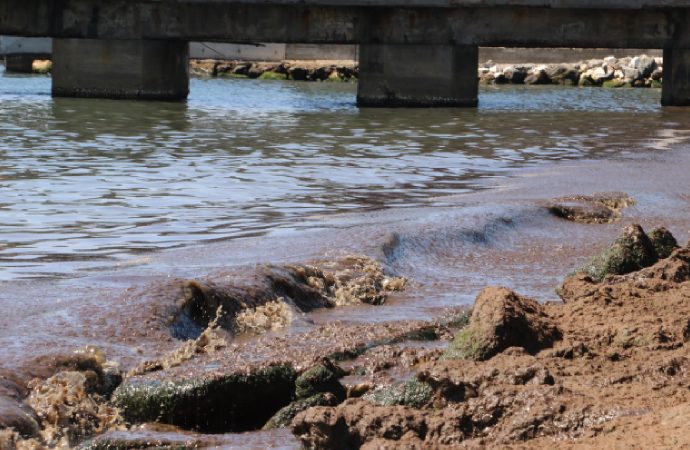 Tekirdağ’da rüzgar sahilin bir kısmına kırmızı yosun biriktirdi