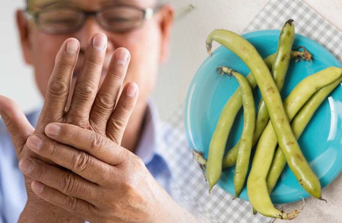 Baklanın Parkinson’a etkisi şaşırttı: Motor semptomlarını azaltıyor!