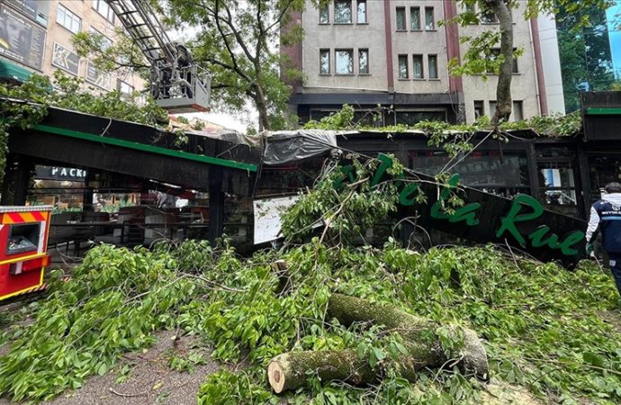 Kocaeli’de şiddetli rüzgar: Koca çınar kafenin çatısına devrildi