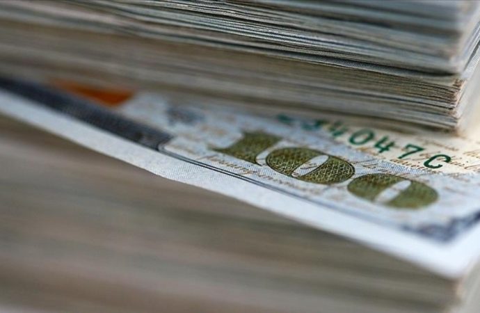 Dolarizasyon faizle frenlendi ama yine de yükseldi