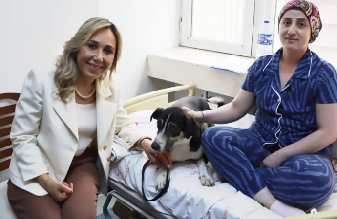 Sokak köpeğiyle ameliyatlı hastayı ziyaret etti, üstelik doktordu