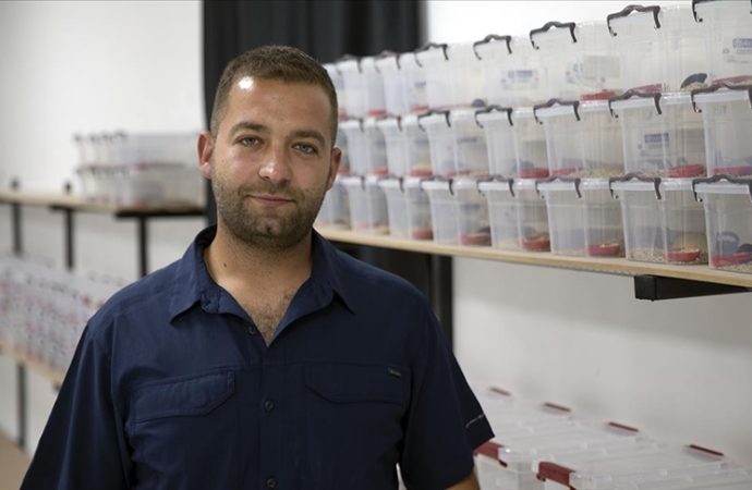 Akrep zehiri üretiyor: Üç yıl inceledi, sonra tesisini kurdu