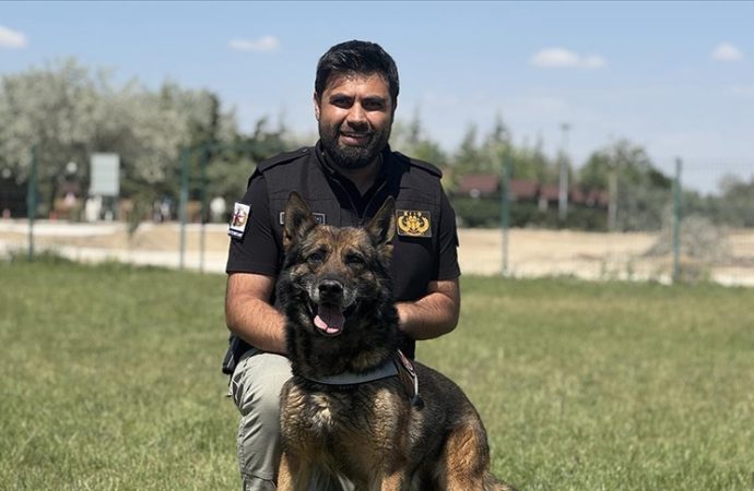 Emekli bomba arama köpeği ‘Artur’ artık ekip arkadaşı Saffet’in evinde