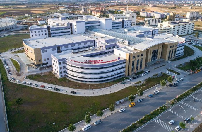 Hastaneyi tahtakuruları bastı, üç servis kapatıldı