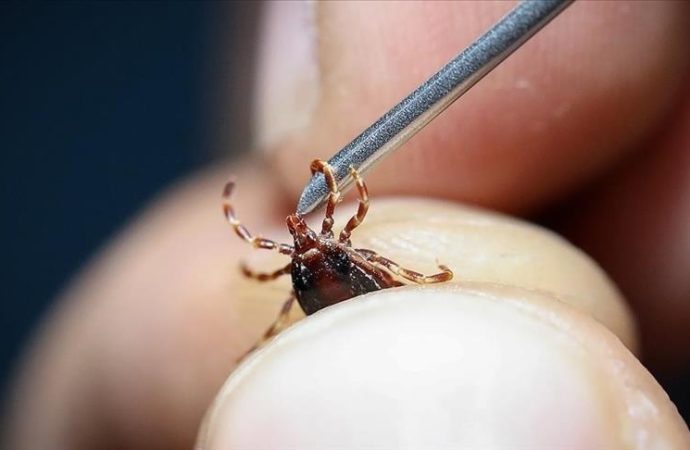 Sivas’ta yine KKKA: Bir kişi hayatını kaybetti