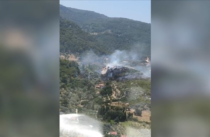 İzmir’in Kemalpaşa ilçesinde orman yangını