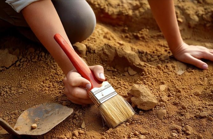 T-rex’lerin atası sayılan 86 milyon yıllık yeni dinozor türü keşfedildi