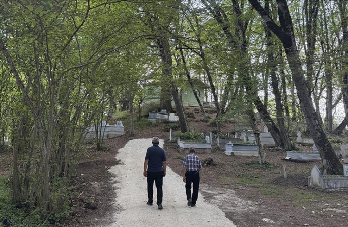 Ormanı evliya türbesi korudu: Kimse dal bile kırıp götürmüyor