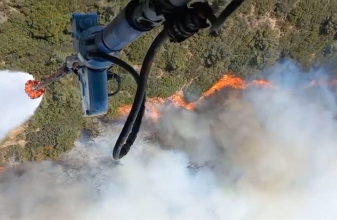Foça’da orman yangını: Havadan ve karadan müdahale ediliyor