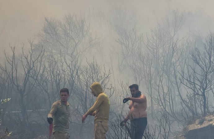 Türkbükü’nde yangın: Bazı vatandaşlar tahliye edildi