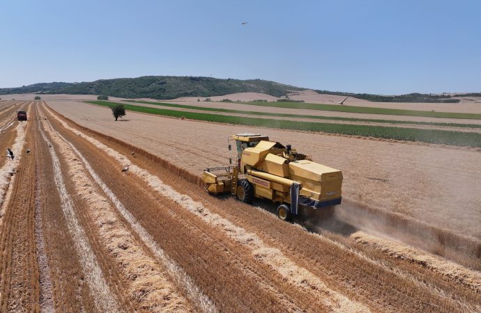 Tarımda üreticinin enflasyonu yıllık yüzde 28,96 arttı