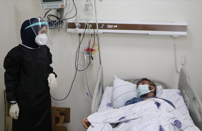 Sebep iklim krizi mi: Eskiden de kene vardı ama KKKA virüsü yoktu