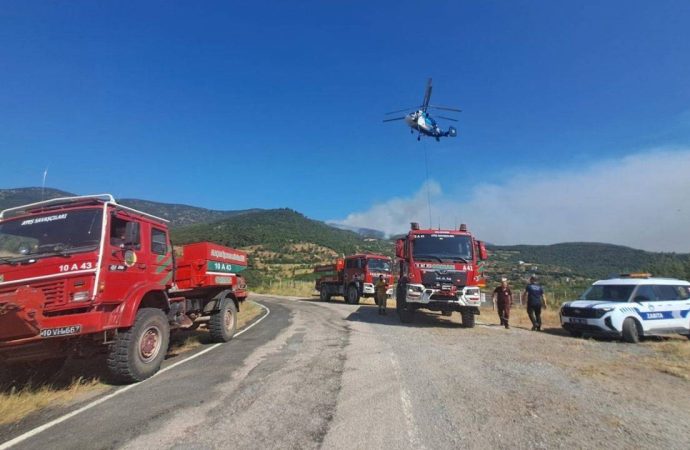 Balıkesir’de orman yangını: Beş kişi gözaltında