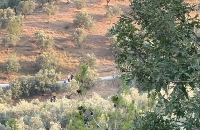 Ekrem İmamoğlu’nun babasına ait arazi ikinci kez arandı