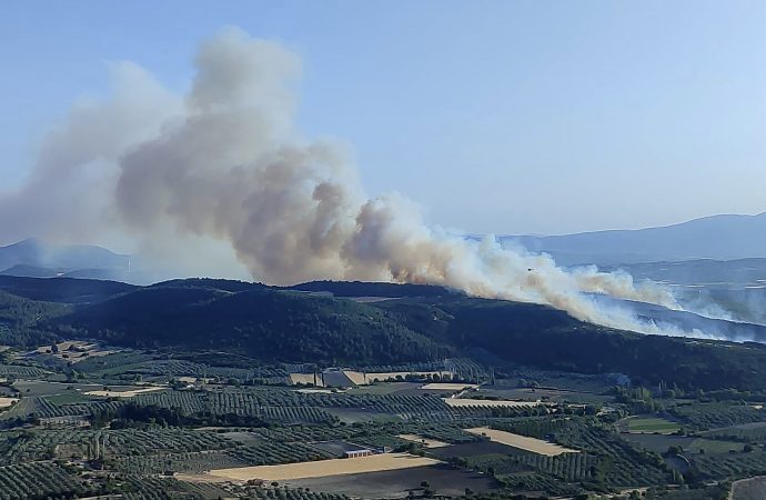 Manisa’da orman yangını: Kontrol altına alındı, yeniden başladı