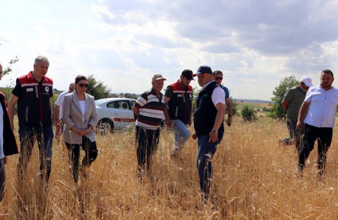 Edirne’yi dolu vurdu: Tek gecede 10 bin dekarlık zarar!