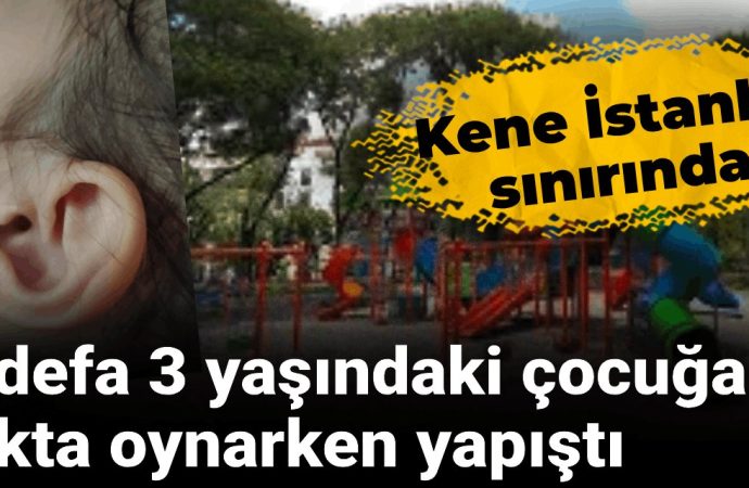 Kene İstanbul sınırında: Parkta oynayan üç yaşındaki çocuğa yapıştı