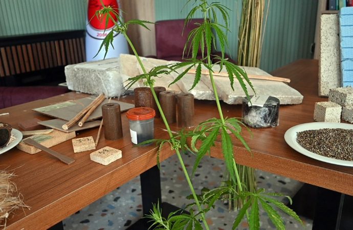 Yozgat Türkiye’nin kenevir üssü olacak: Tohumdan dalına her şeyi kullanılacak