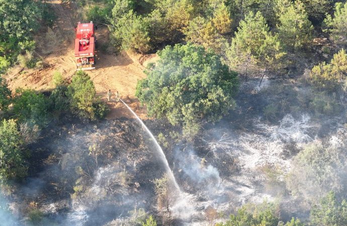 İletişim Başkanlığı: 150 yangından 142’si kontrol altına alındı