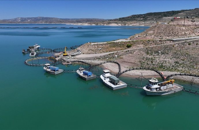 Deniz görmeyen Kayseri deniz ülkelerine balık ihraç ediyor